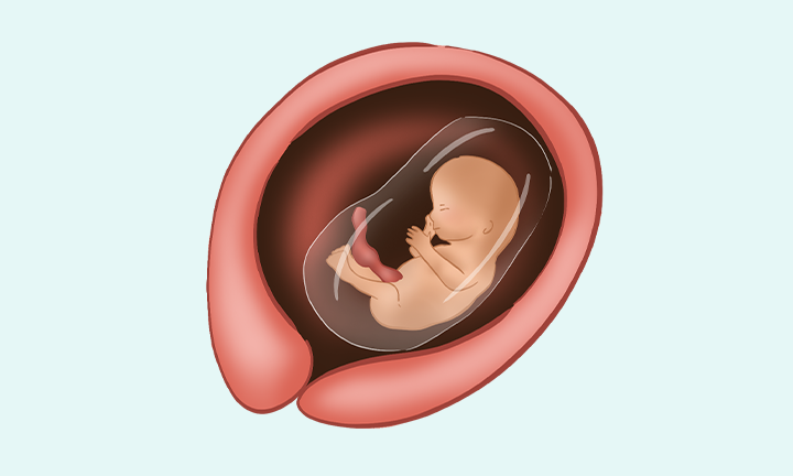 pieluchy anatomiczne o największej chłonności