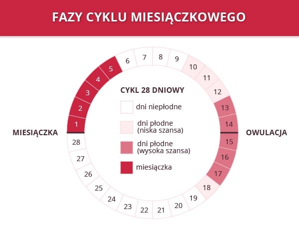 pieluchy dla dorosłych mężczyzn