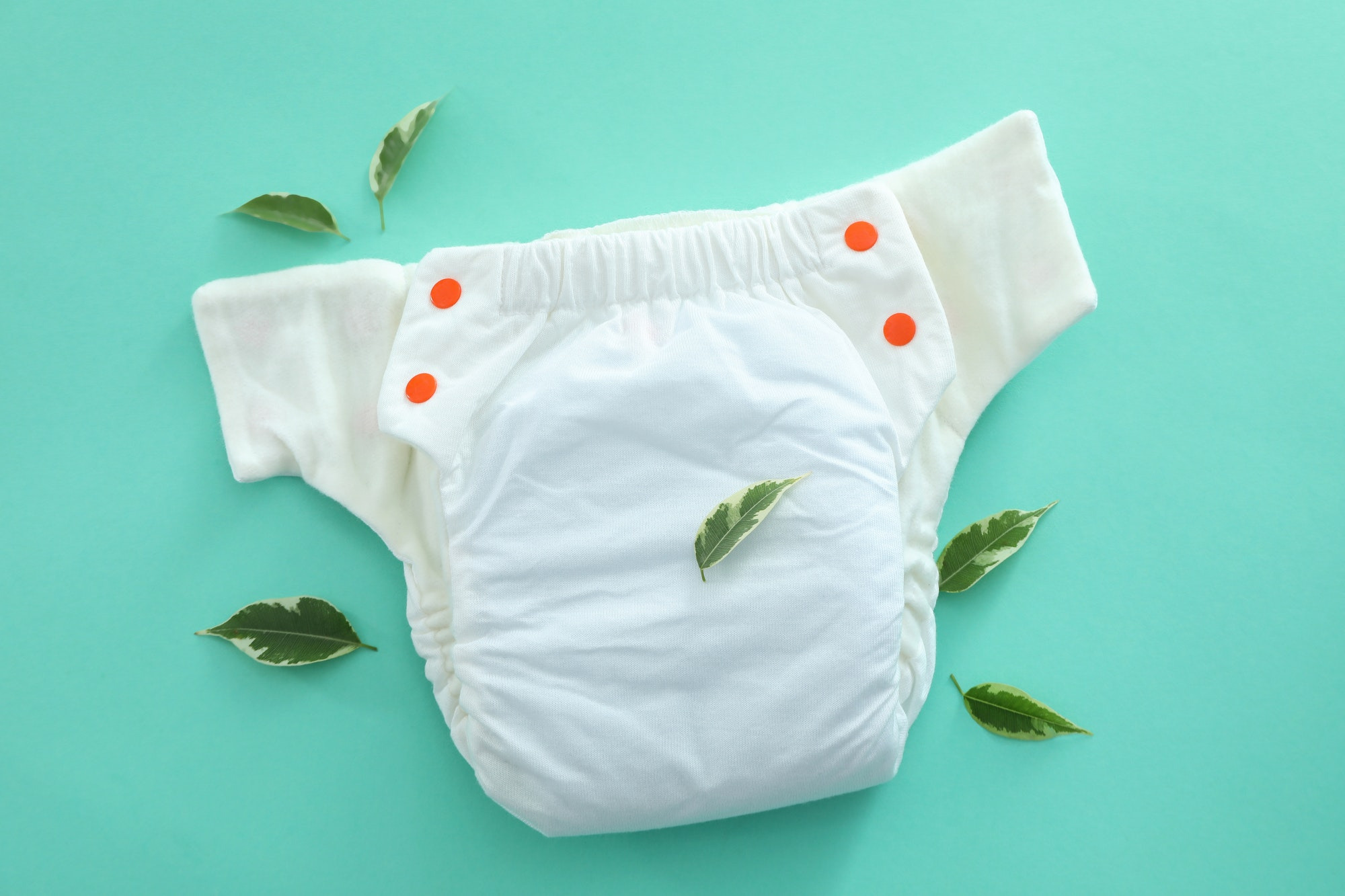 feedo pampers pants 4