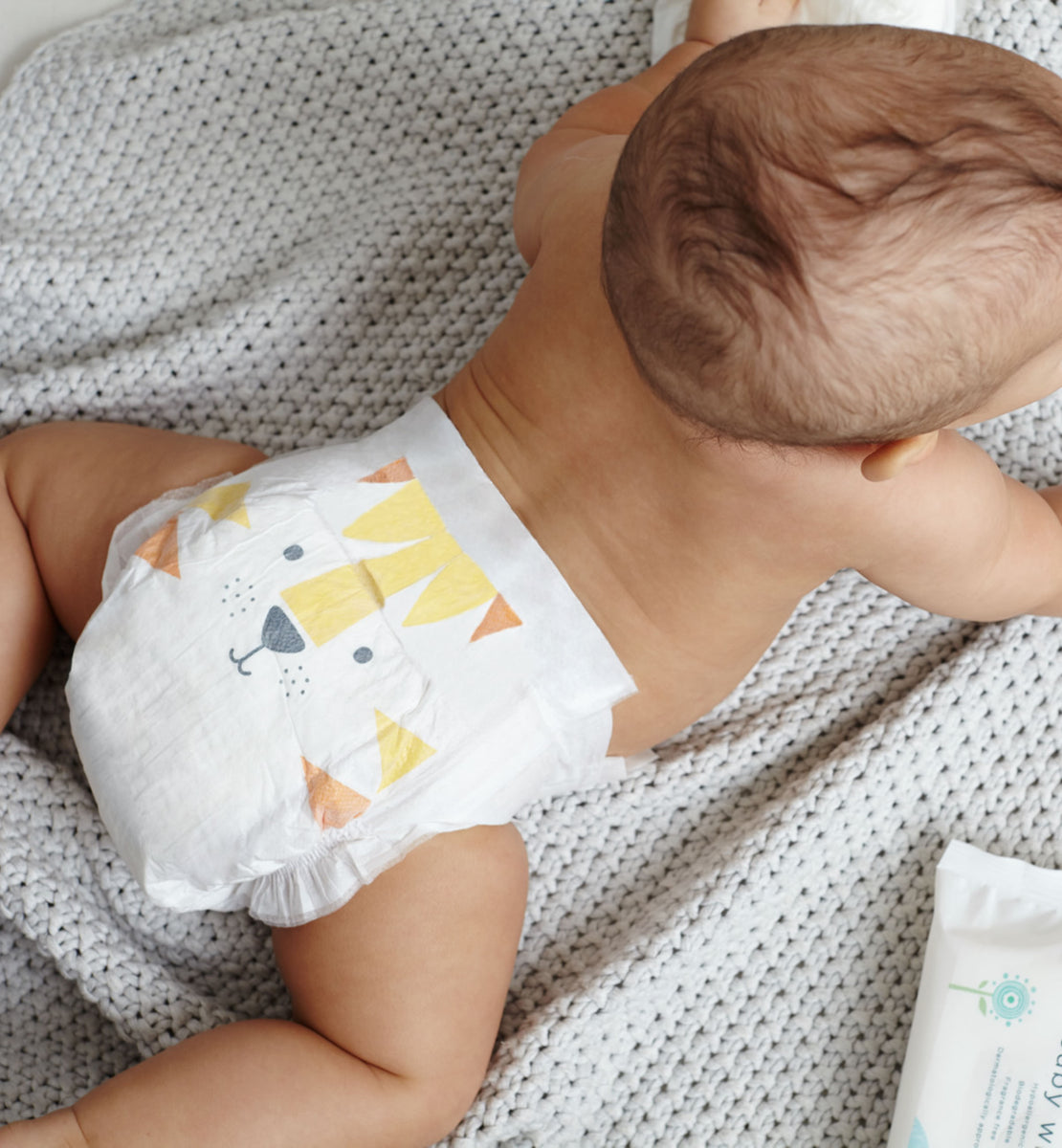 pampers dla świnki morskiej