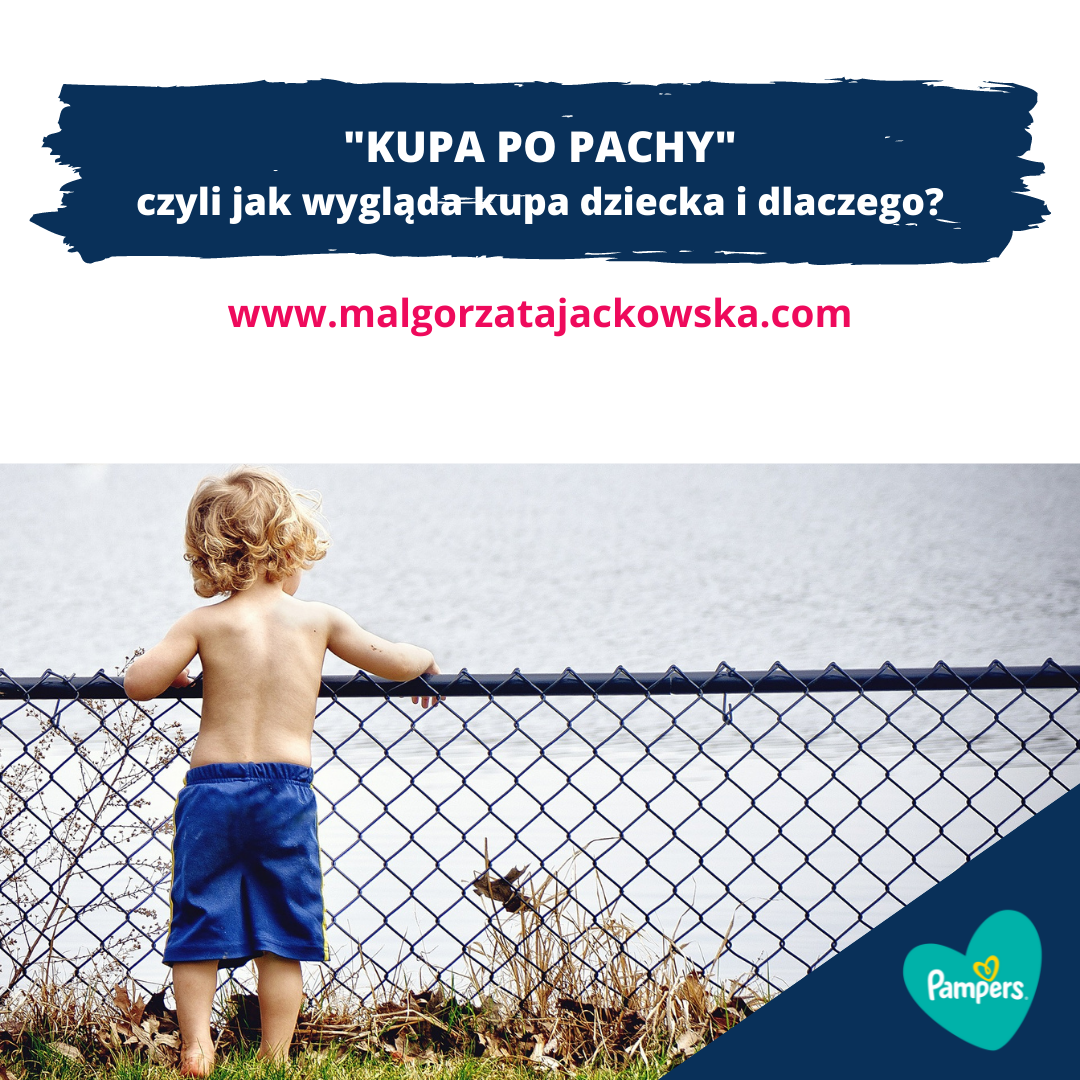 pampers chusteczki promocja