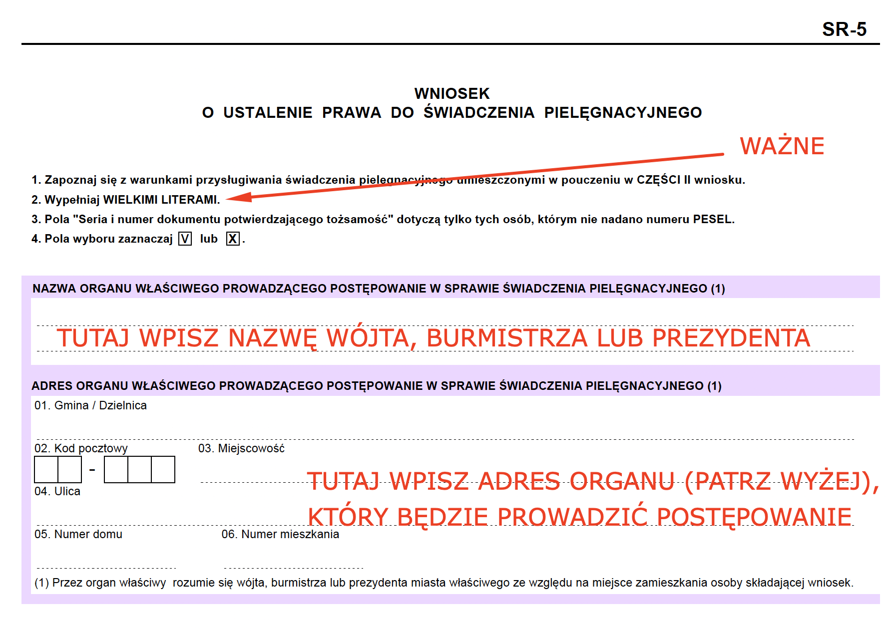 zabka pieluchy w niedziele krzeszowice