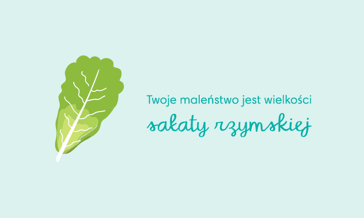 pieluchomajtki dla dorosłych l