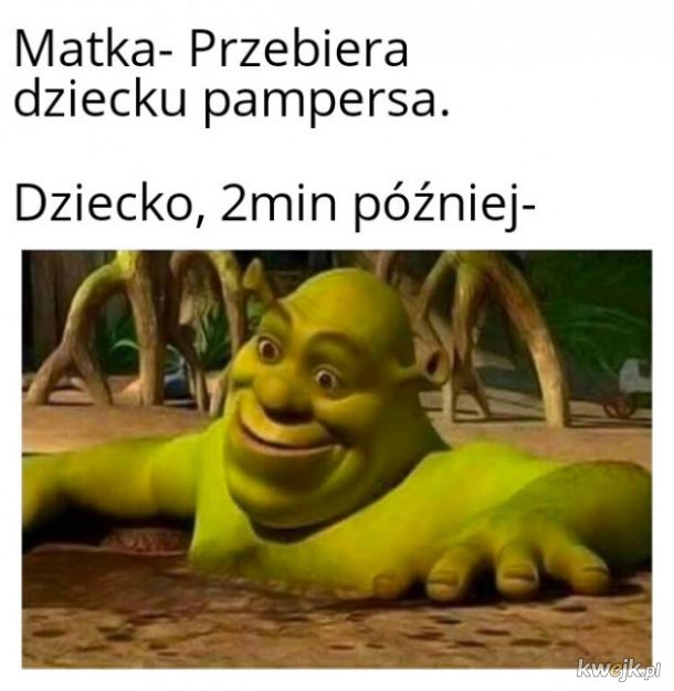 jak dobrać pieluchy dla dorosłych