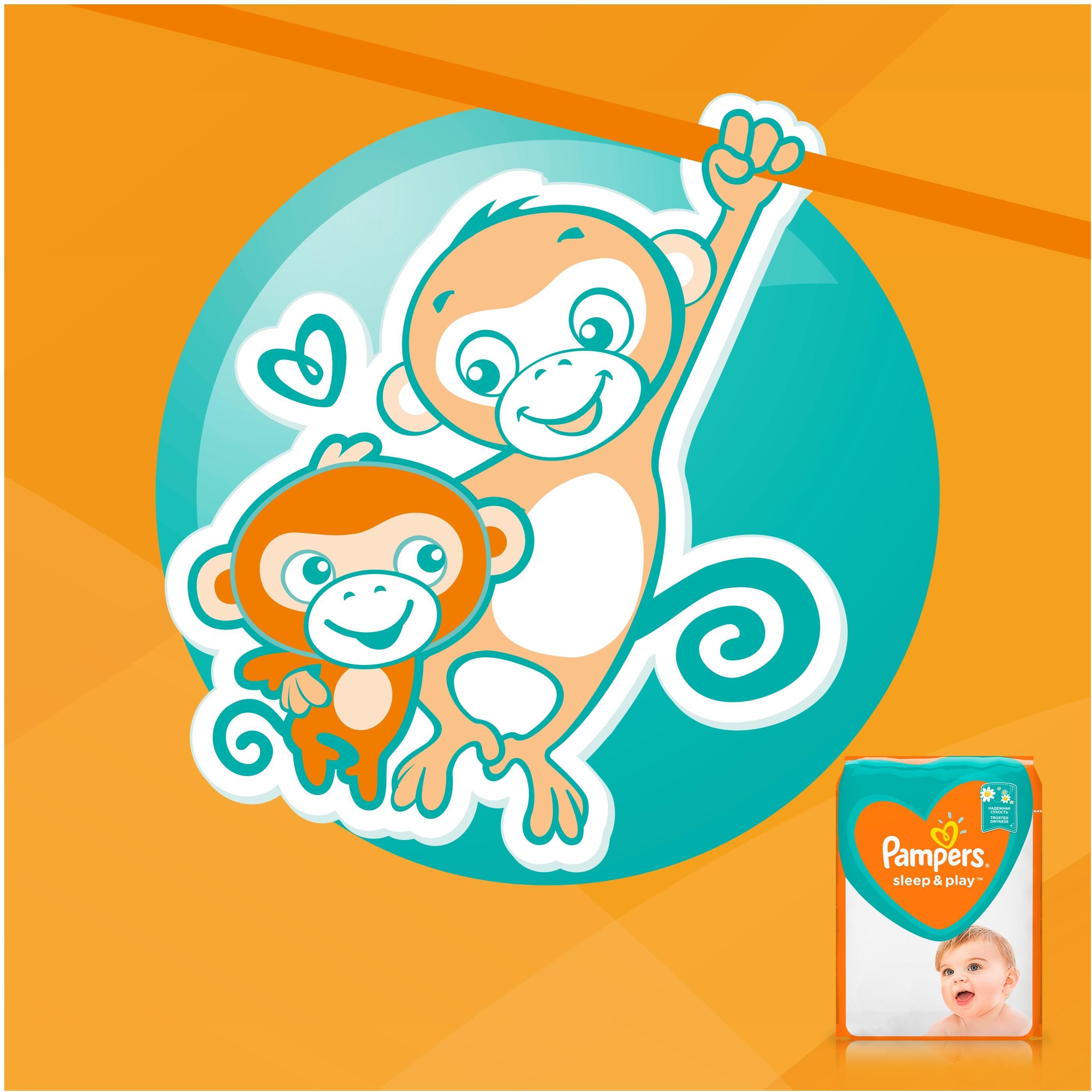 pampers premium care rozmiar 5