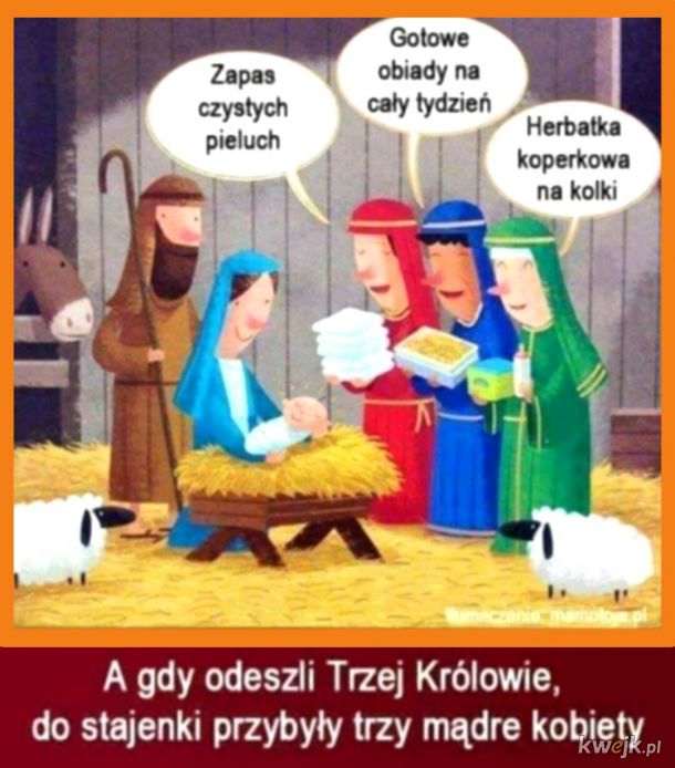 chusteczki nawilżane oc